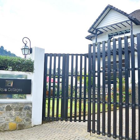 Unique Cottages Nuwara Eliya Exterior foto